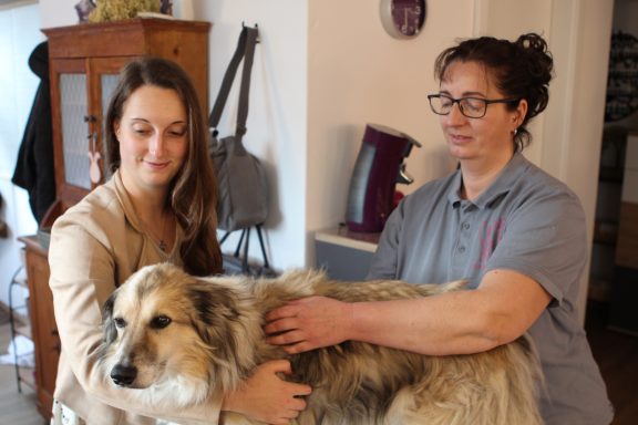 Zwei Frauen streicheln einen großen Hund in einem hellen Raum.